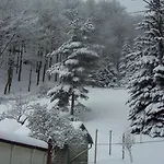 Im Pochwerksgrund In Goldlauter Im Thueringer Wald *