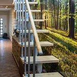 Im Pochwerksgrund In Goldlauter Im Thueringer Wald