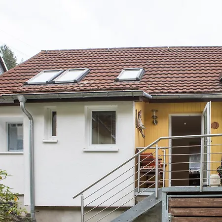 Im Pochwerksgrund In Goldlauter Im Thueringer Wald Holiday home *