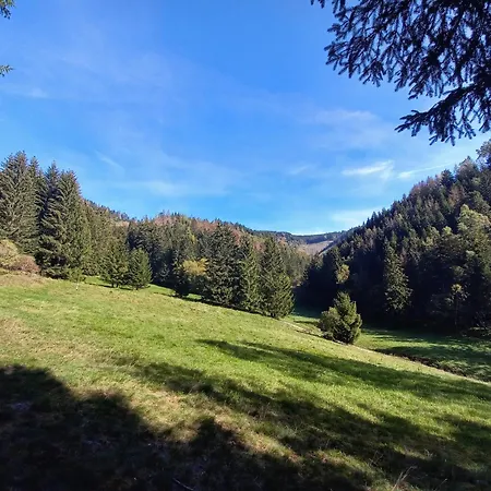 Im Pochwerksgrund In Goldlauter Im Thueringer Wald Holiday home *