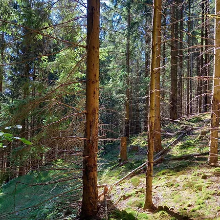 Im Pochwerksgrund In Goldlauter Im Thueringer Wald Holiday home